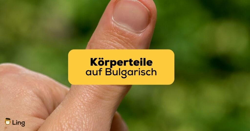 Körperteile auf Bulgarisch mit Ling lernen
